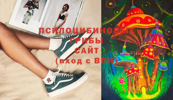 гидропоника Семёнов
