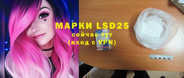 индика Гусиноозёрск