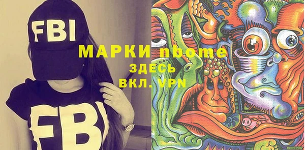 индика Гусиноозёрск