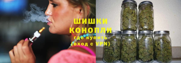 индика Гусиноозёрск