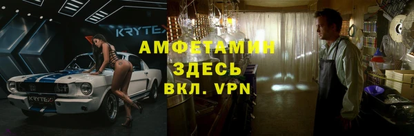 индика Гусиноозёрск