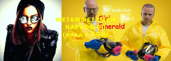 индика Гусиноозёрск
