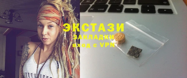 индика Гусиноозёрск