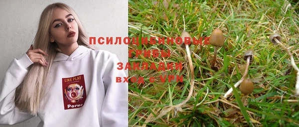 индика Гусиноозёрск
