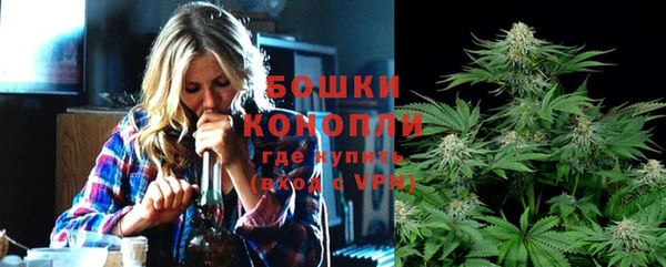 СК Гусь-Хрустальный