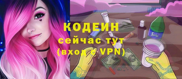 индика Гусиноозёрск