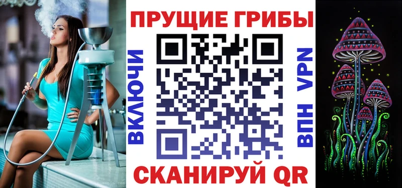 где продают наркотики  Вязники  Псилоцибиновые грибы мицелий 