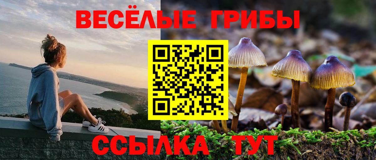 Вязники  Псилоцибиновые грибы Psilocybe  как найти закладки  Вход с VPN 