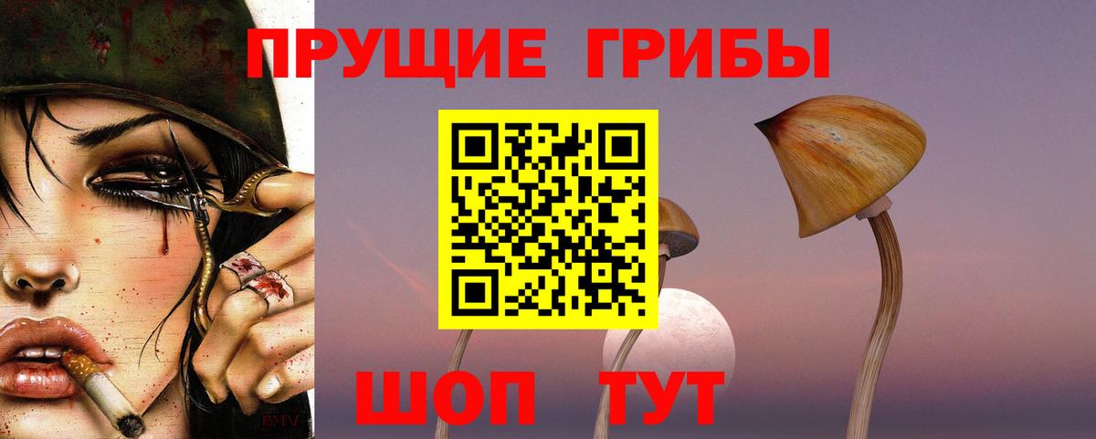 Псилоцибиновые грибы мухоморы Вязники