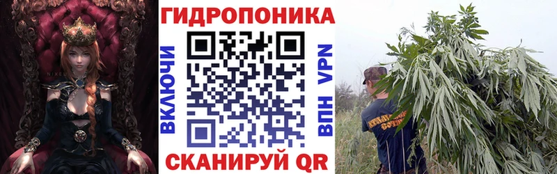 Шишки марихуана сатива Вязники